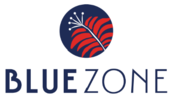 Blue Zone K.K.